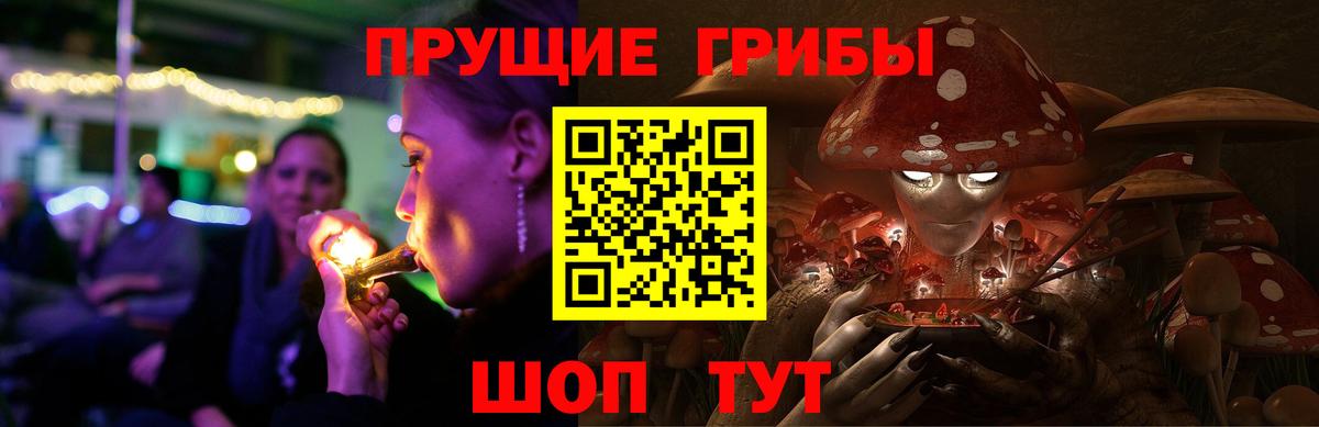 Северодвинск  Псилоцибиновые грибы мицелий  Вход с VPN 